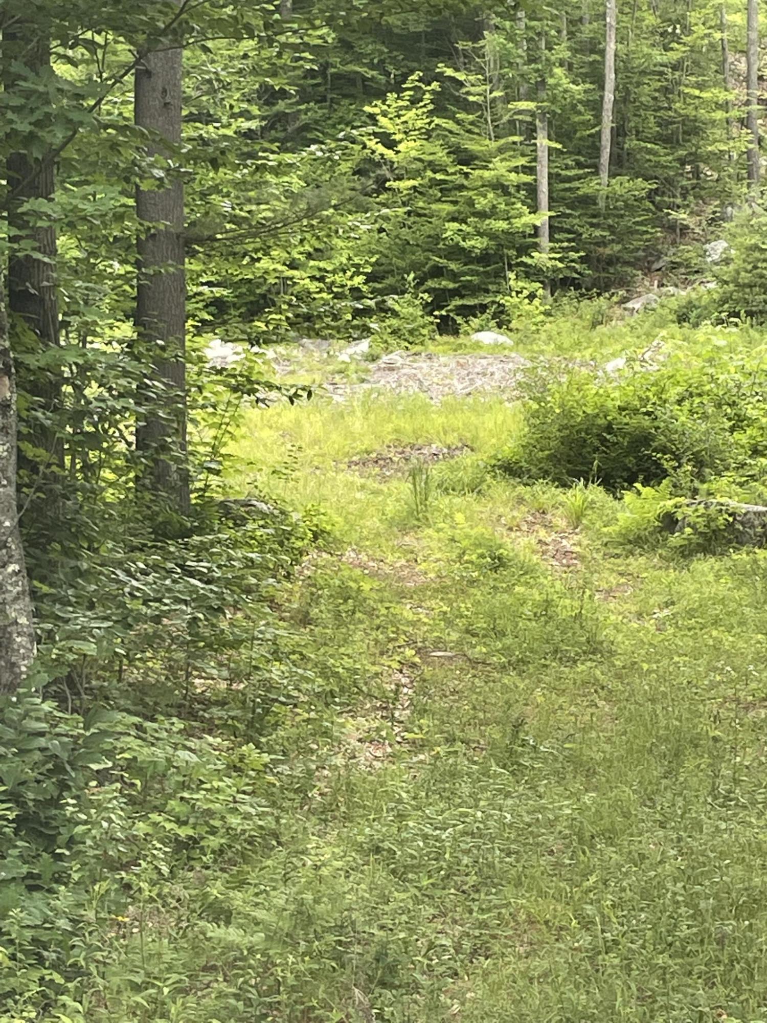 Lot2-3b Gore Road Oxford, ME 04270 - Photo 2 of 2 OTLot2&3Bphoto