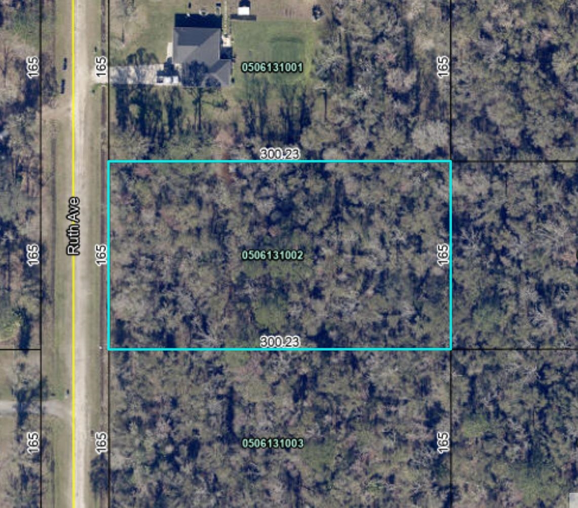 10320 Ruth Avenue Hastings, FL 32145 - Photo 2 of 3