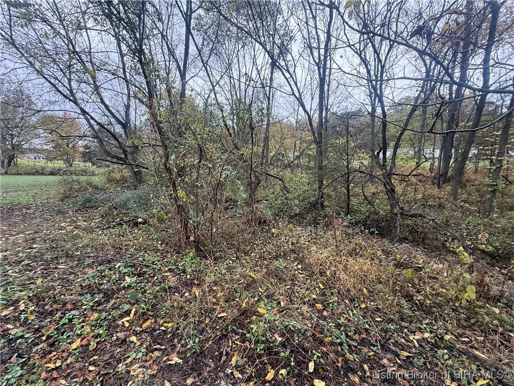 1015 Crone Road Memphis, IN 47143 - Photo 37 of 41