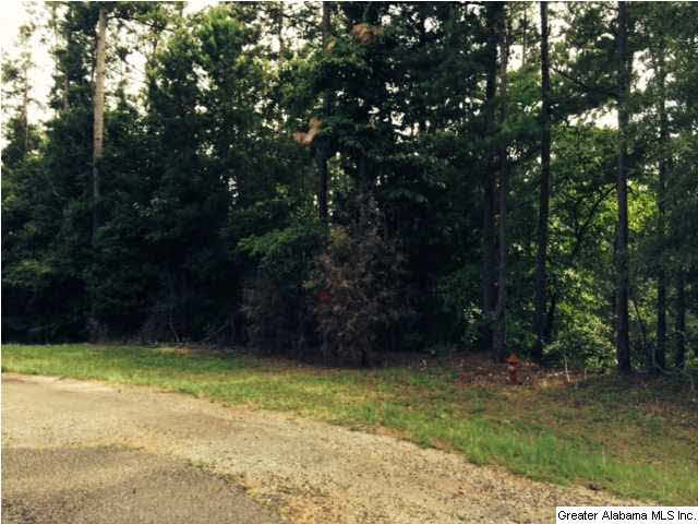Turtle Cove, Unit 13 Wedowee, AL 36278 - Photo 1 of 4
