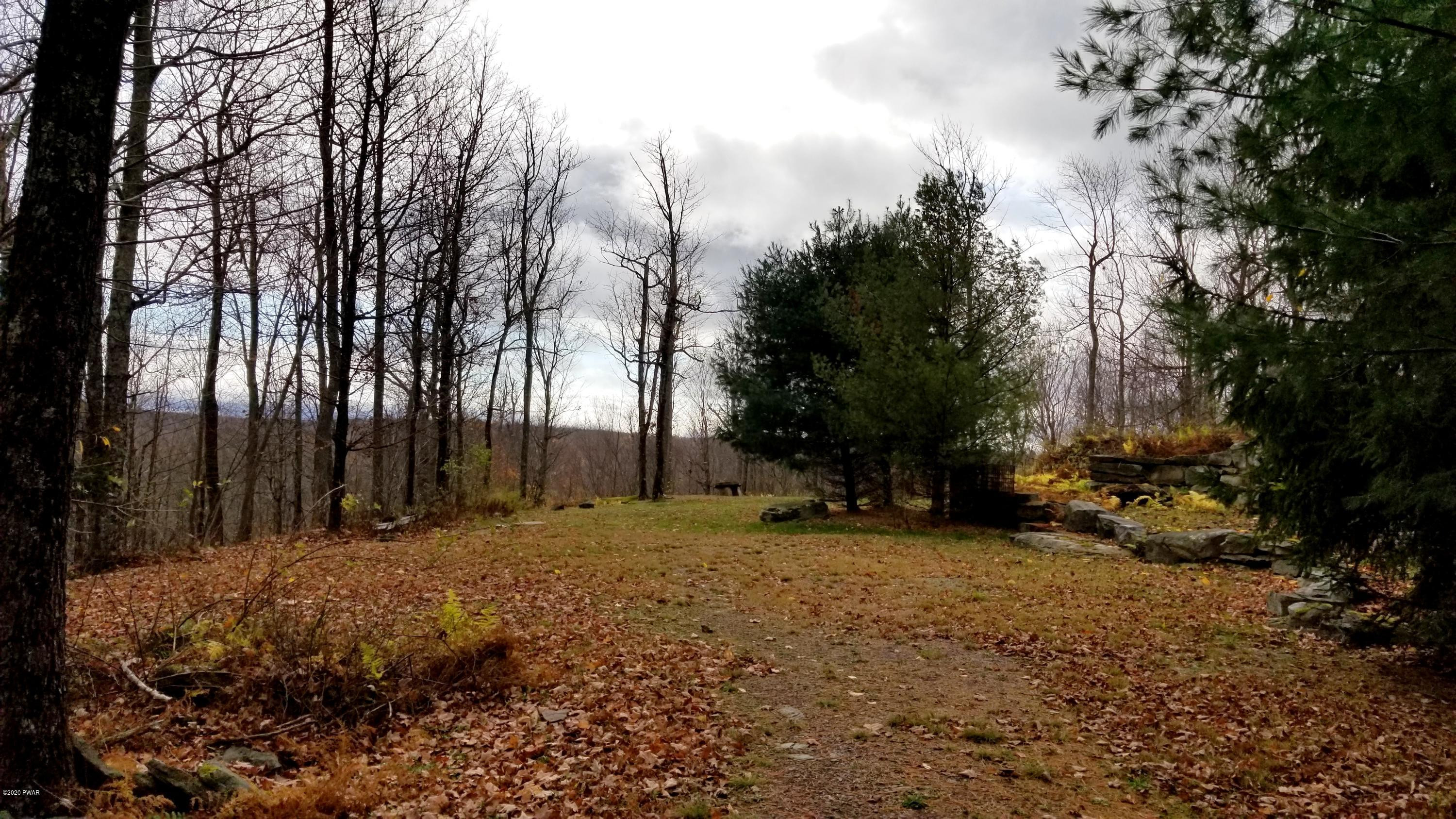 Lot 63 Old Woods Road Equinunk, PA 18417 - Photo 10 of 63