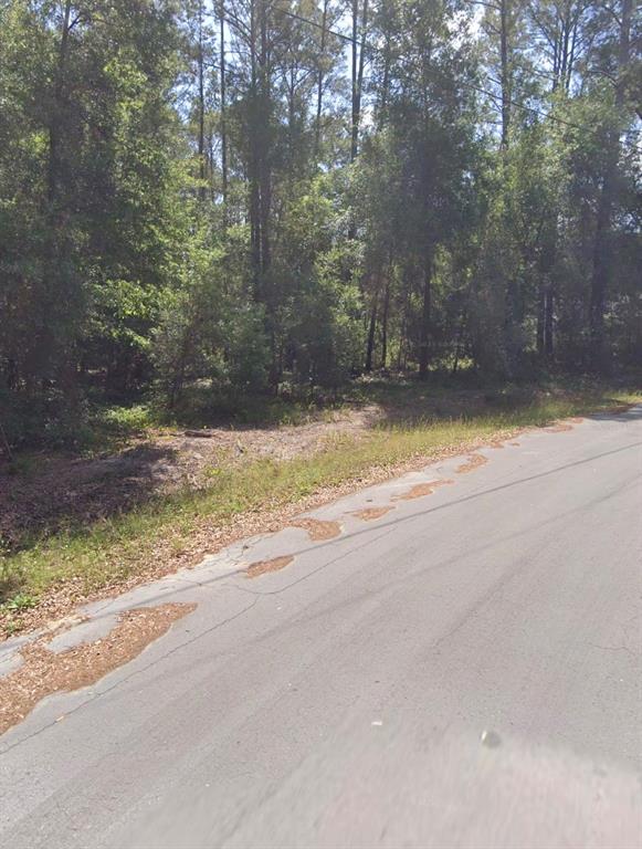 Locust Circle Ocala, FL 34472 - Photo 1 of 1