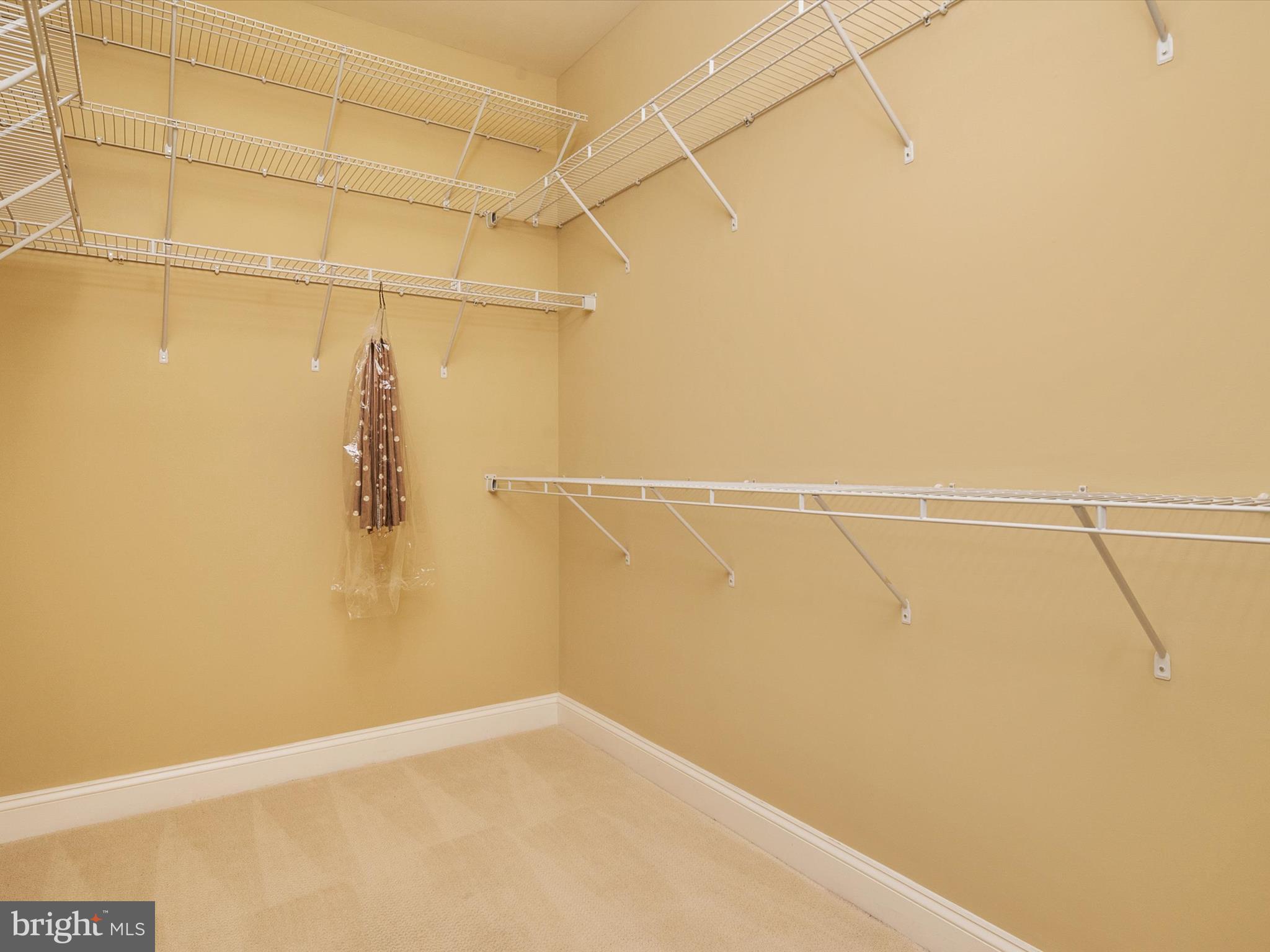 107 Gibson Circle Chester, MD 21619 - Photo 26 of 60 Primary Walk-In