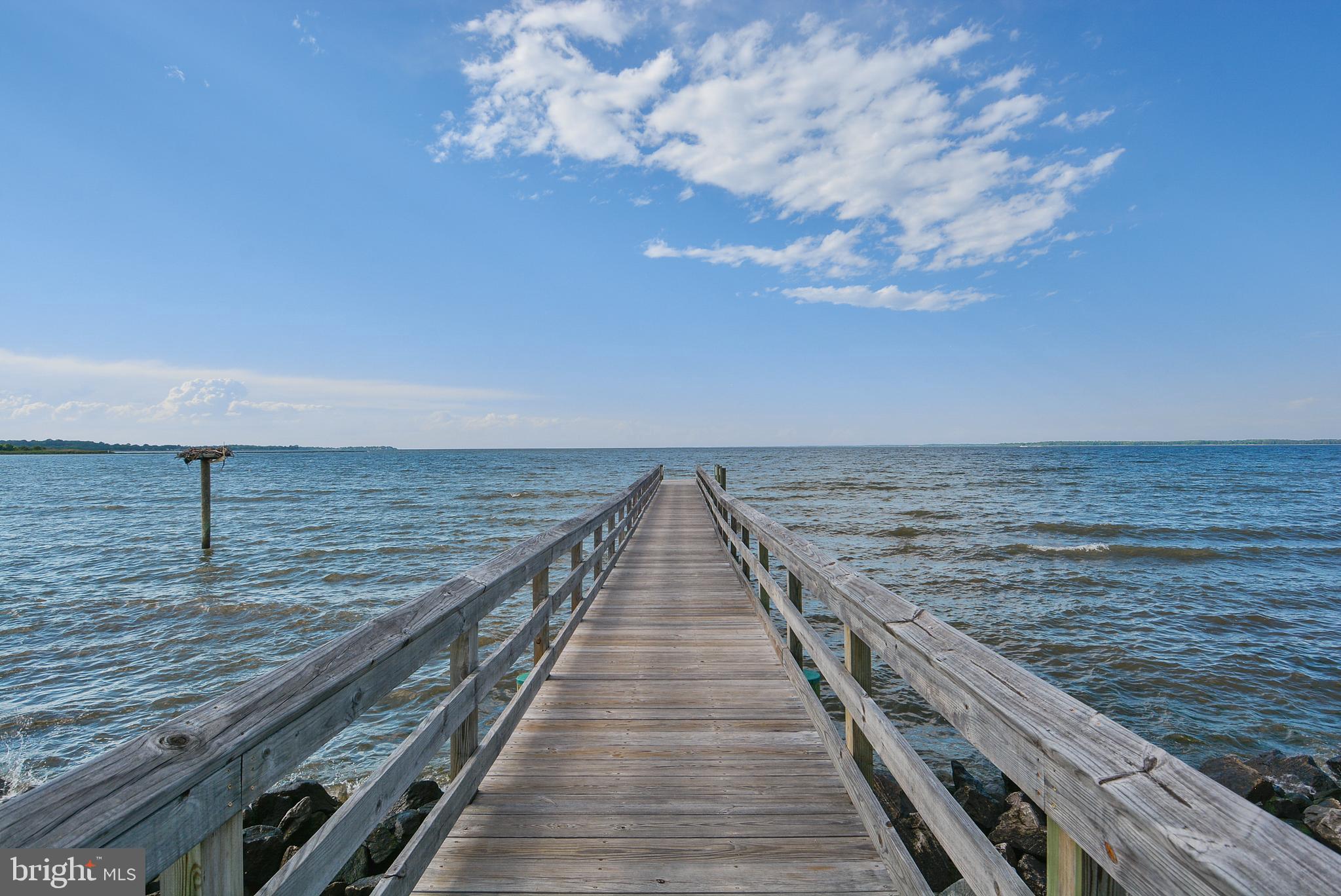 107 Gibson Circle Chester, MD 21619 - Photo 40 of 60