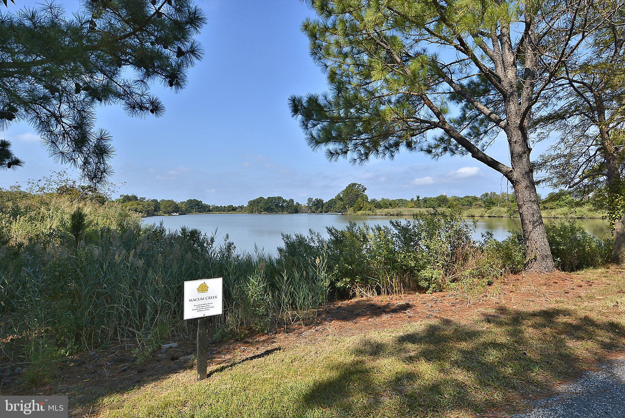 107 Gibson Circle Chester, MD 21619 - Photo 60 of 60