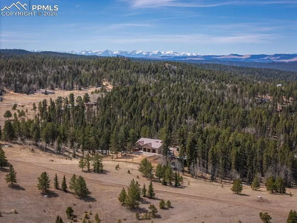 $875,000 | 293 Daniwood Grove, Florissant, CO 80816