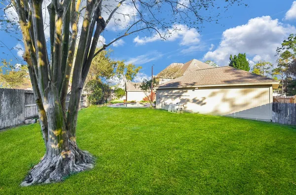 a view of backyard with tree