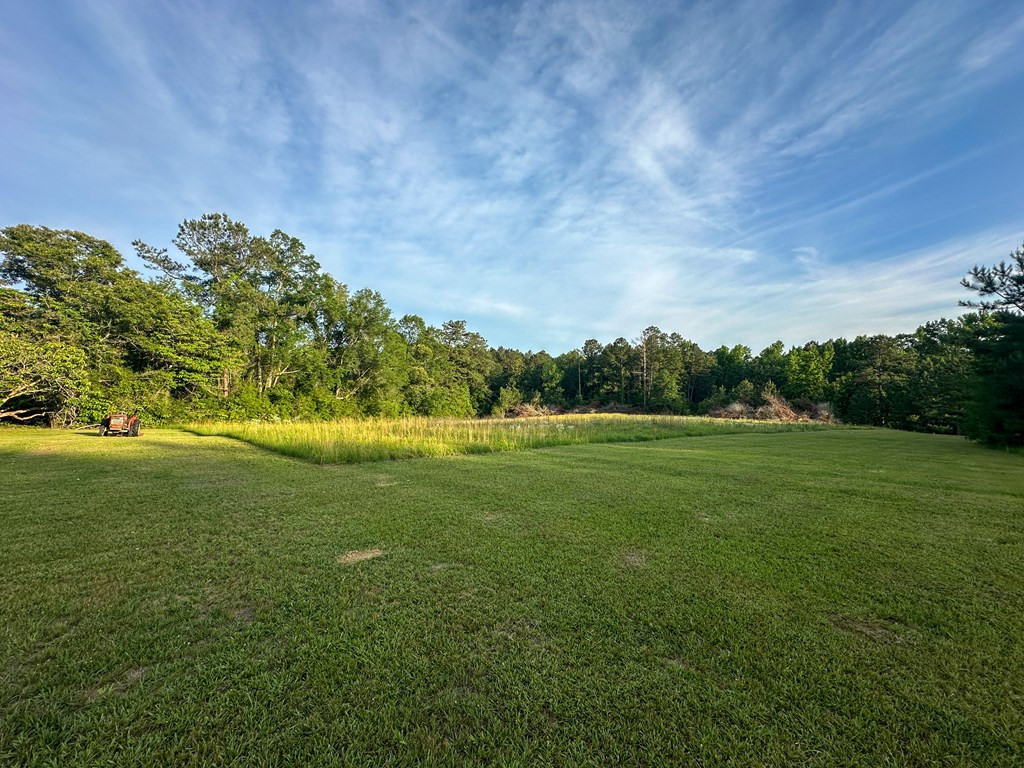 310 Ginntown Road Tylertown, MS 39667 - Photo 14 of 42 Photo 14