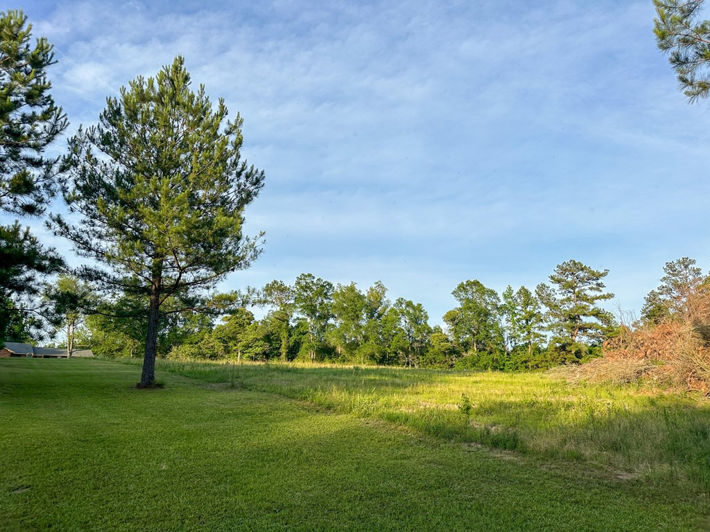 310 Ginntown Road Tylertown, MS 39667 - Photo 15 of 42 Photo 15