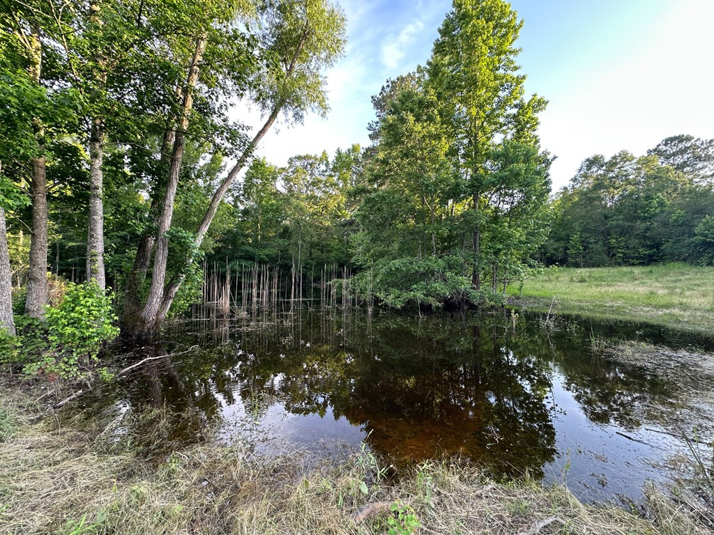 310 Ginntown Road Tylertown, MS 39667 - Photo 16 of 42 Photo 16