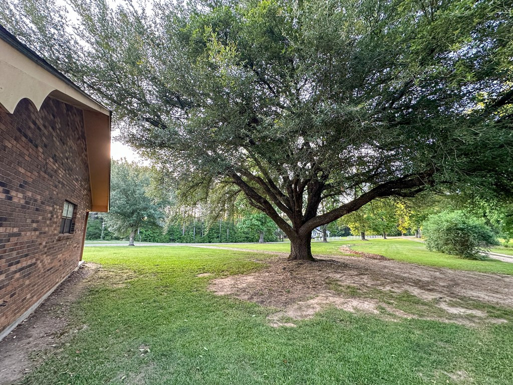 310 Ginntown Road Tylertown, MS 39667 - Photo 4 of 42 Photo 4