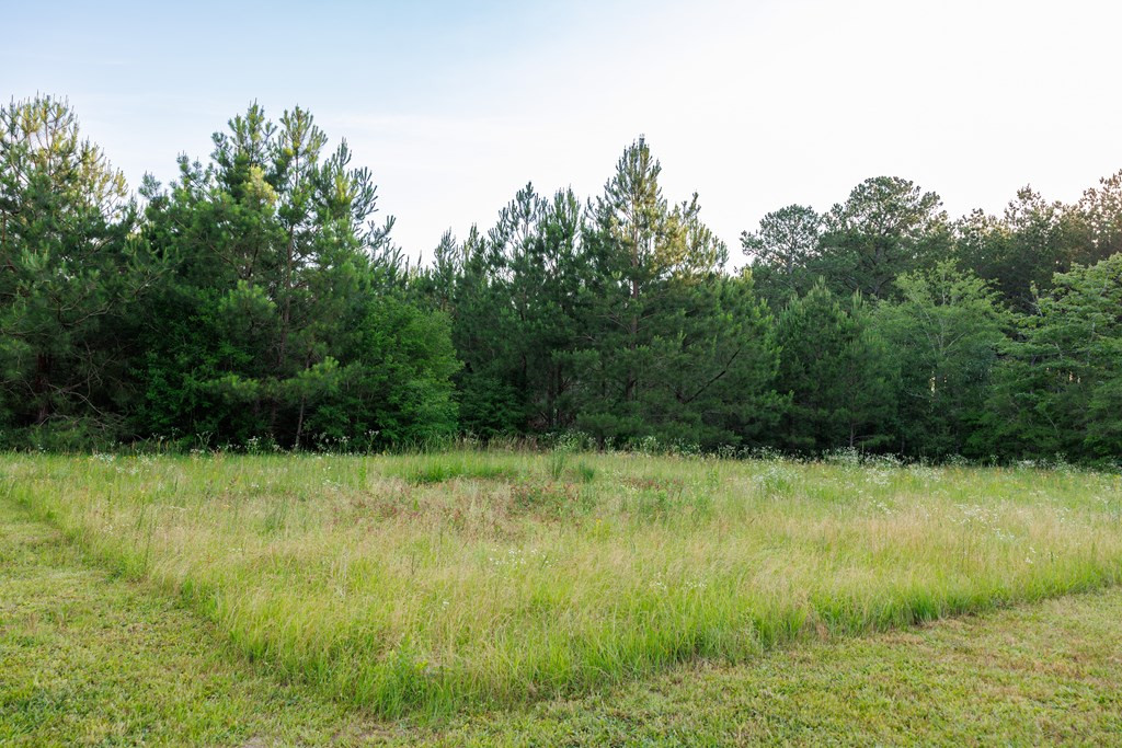 310 Ginntown Road Tylertown, MS 39667 - Photo 6 of 42 Photo 6