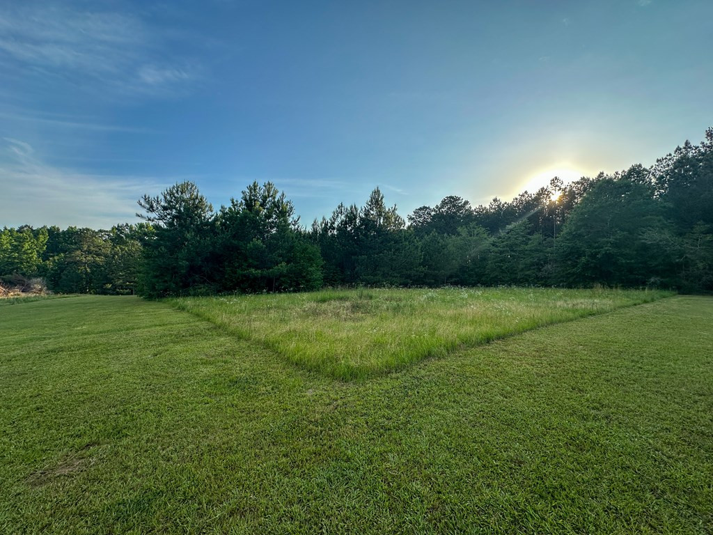 310 Ginntown Road Tylertown, MS 39667 - Photo 7 of 42 Photo 7