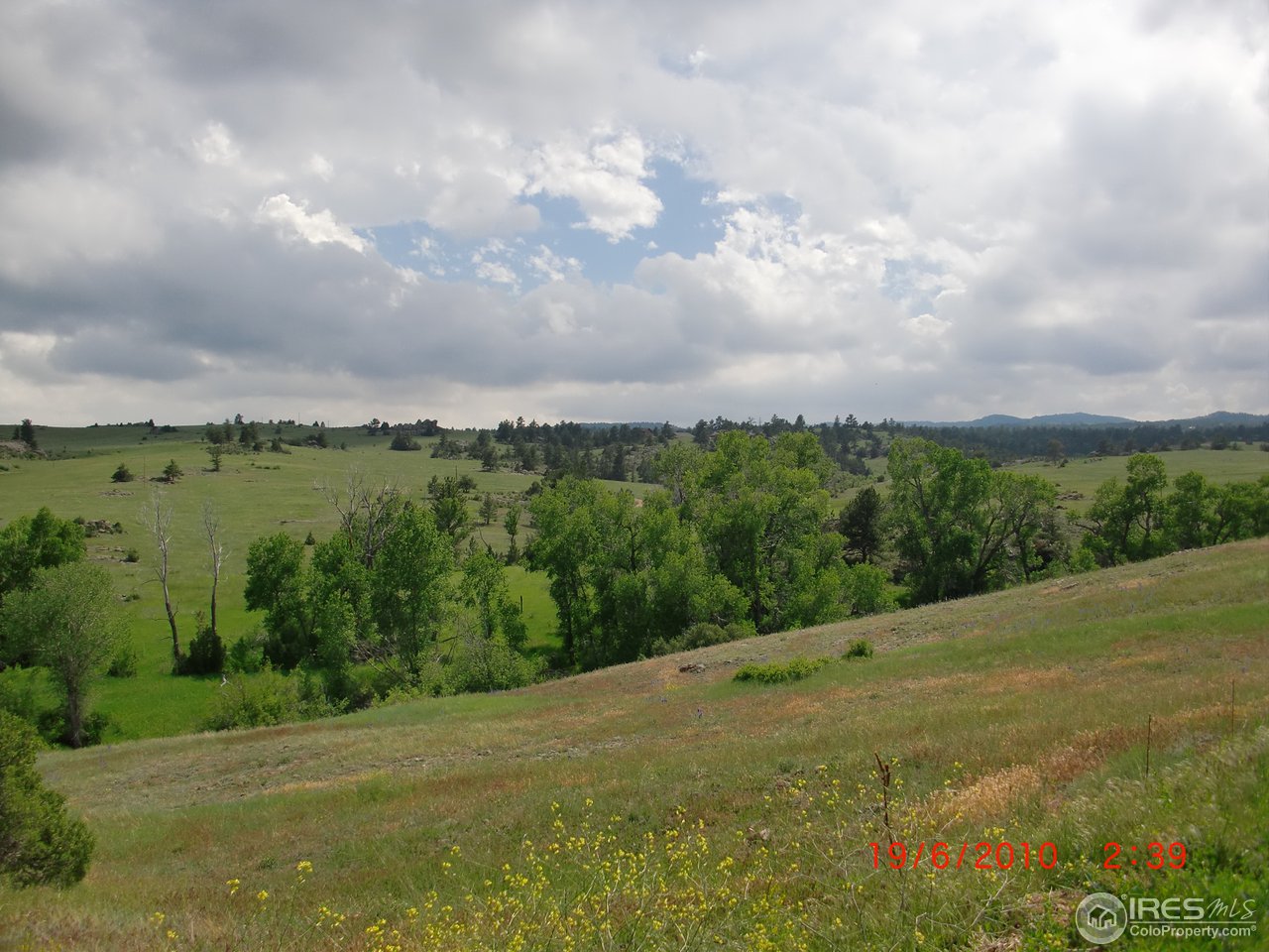 0 Cherokee Park-cr 80c Road Livermore, CO 80536 - Photo 11 of 25 Property for sale