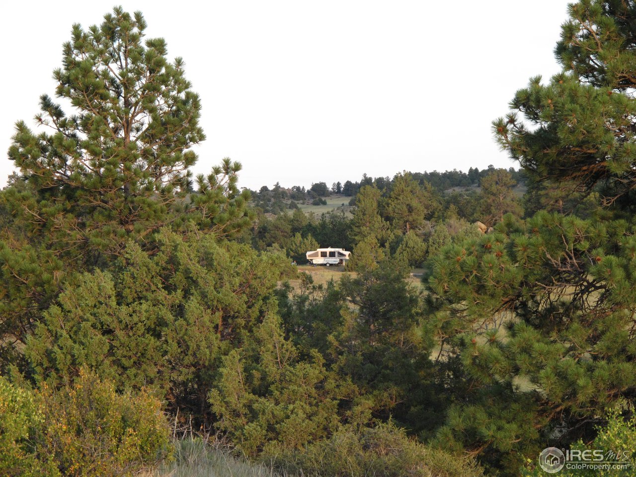0 Cherokee Park-cr 80c Road Livermore, CO 80536 - Photo 23 of 25 Camping spot
