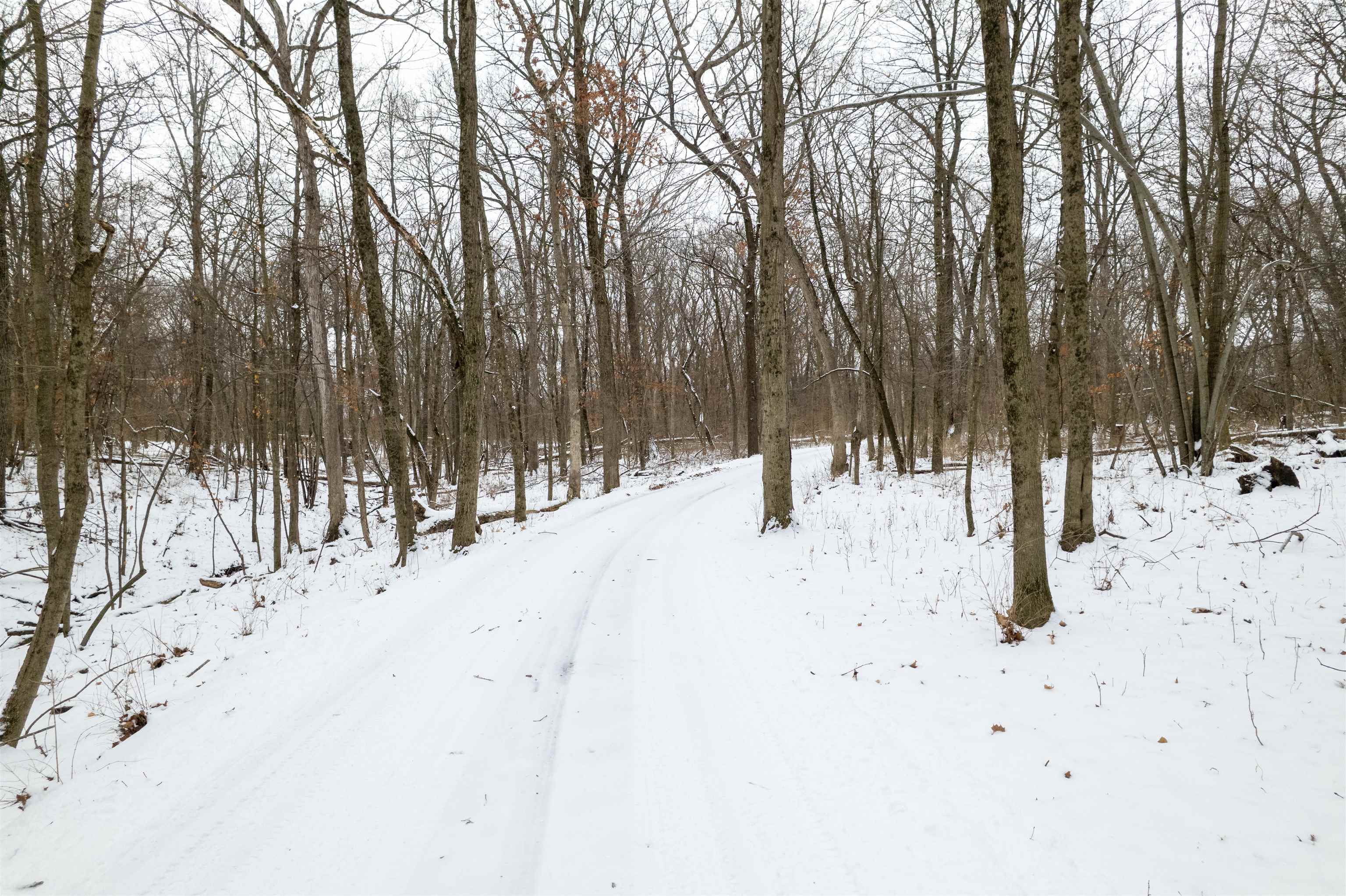 10343 North Girl Scout Road Stillman Valley, IL 61084 - Photo 73 of 85