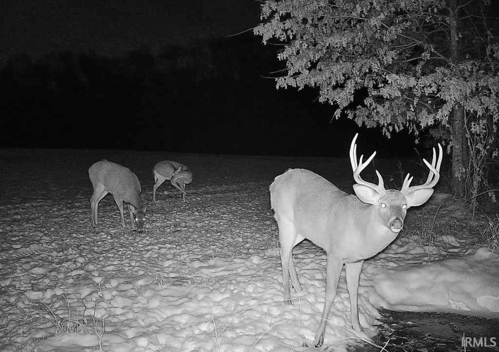 52478 County Road 39 Middlebury, IN 46540 - Photo 15 of 36