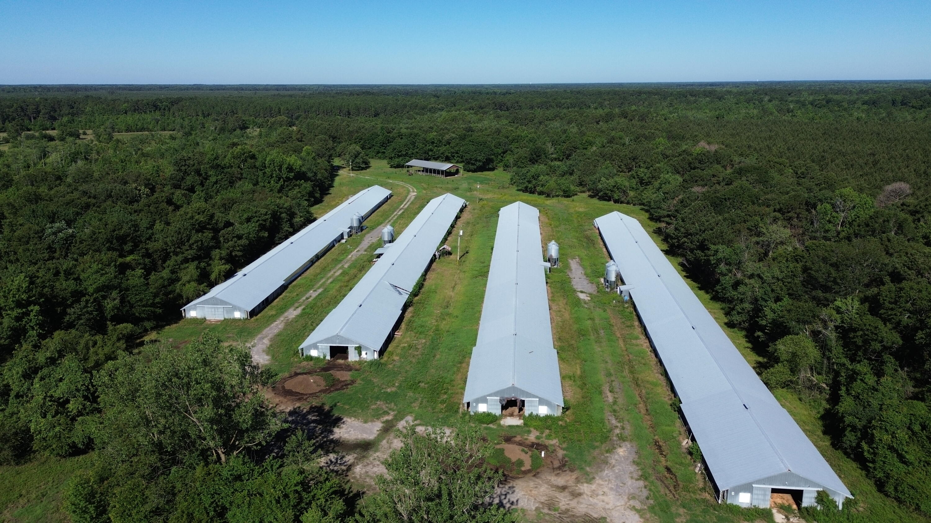 0 Holladay Road Manning, SC 29102 - Photo 16 of 35