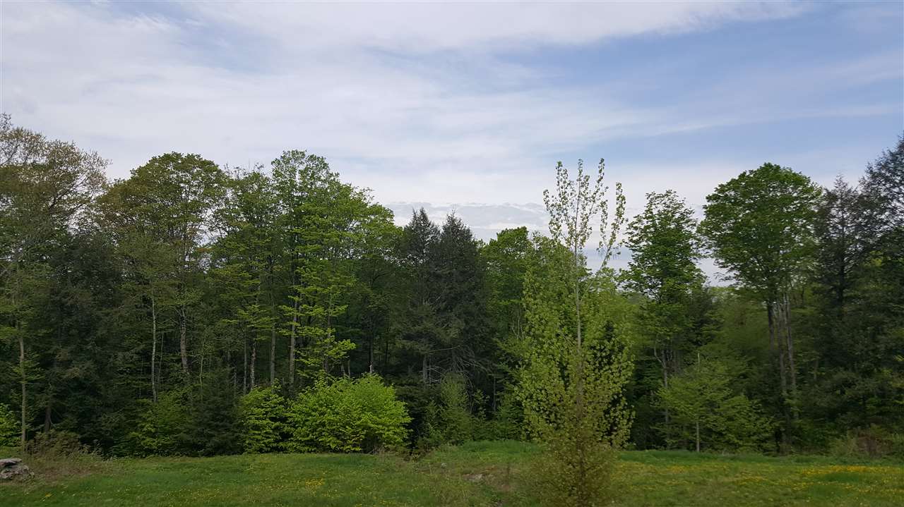 596 County Road Walpole, NH 03608 - Photo 6 of 39