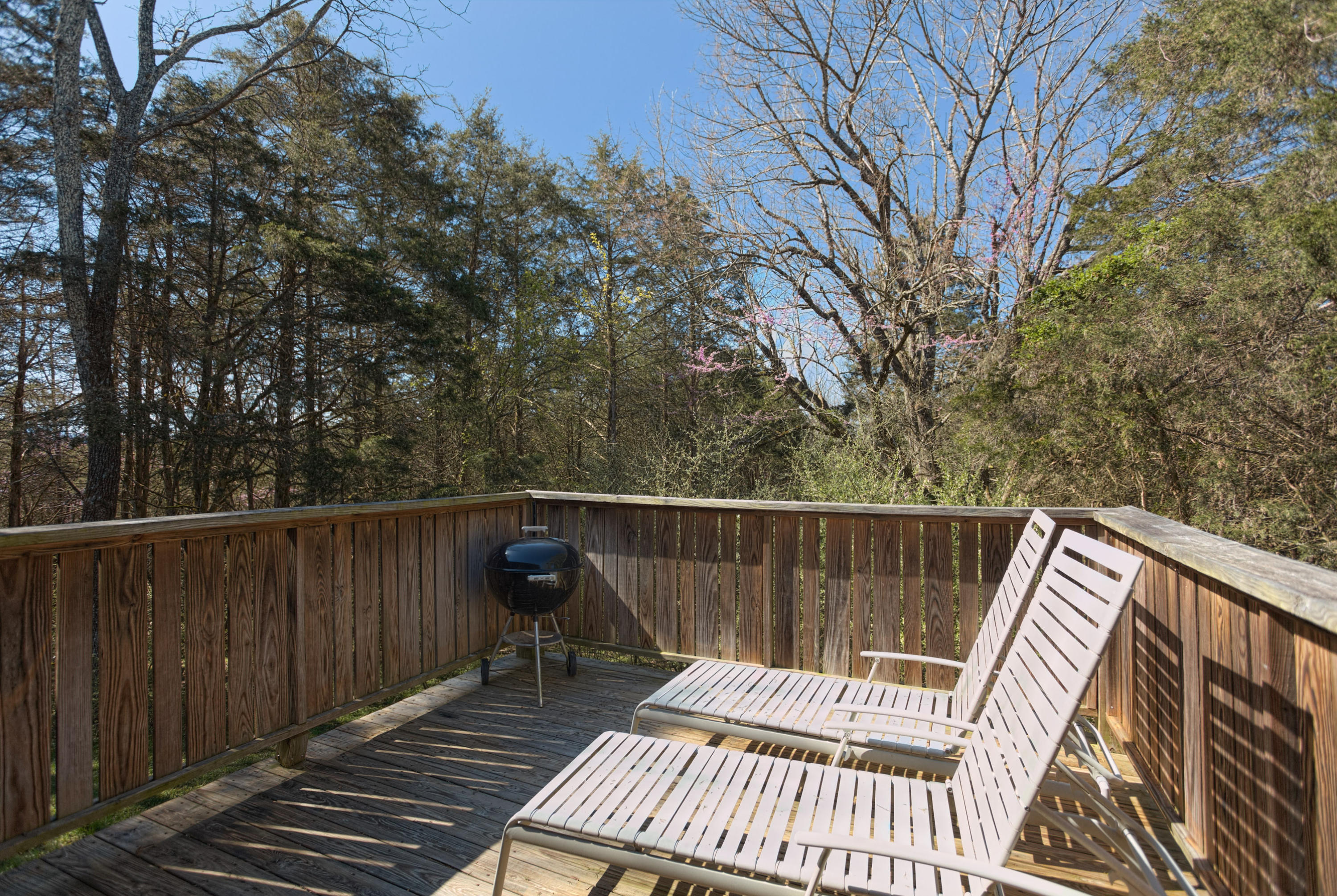 126 Autumn Ridge Lane Lexington, VA 24450 - Photo 30 of 55 DF Porch 1