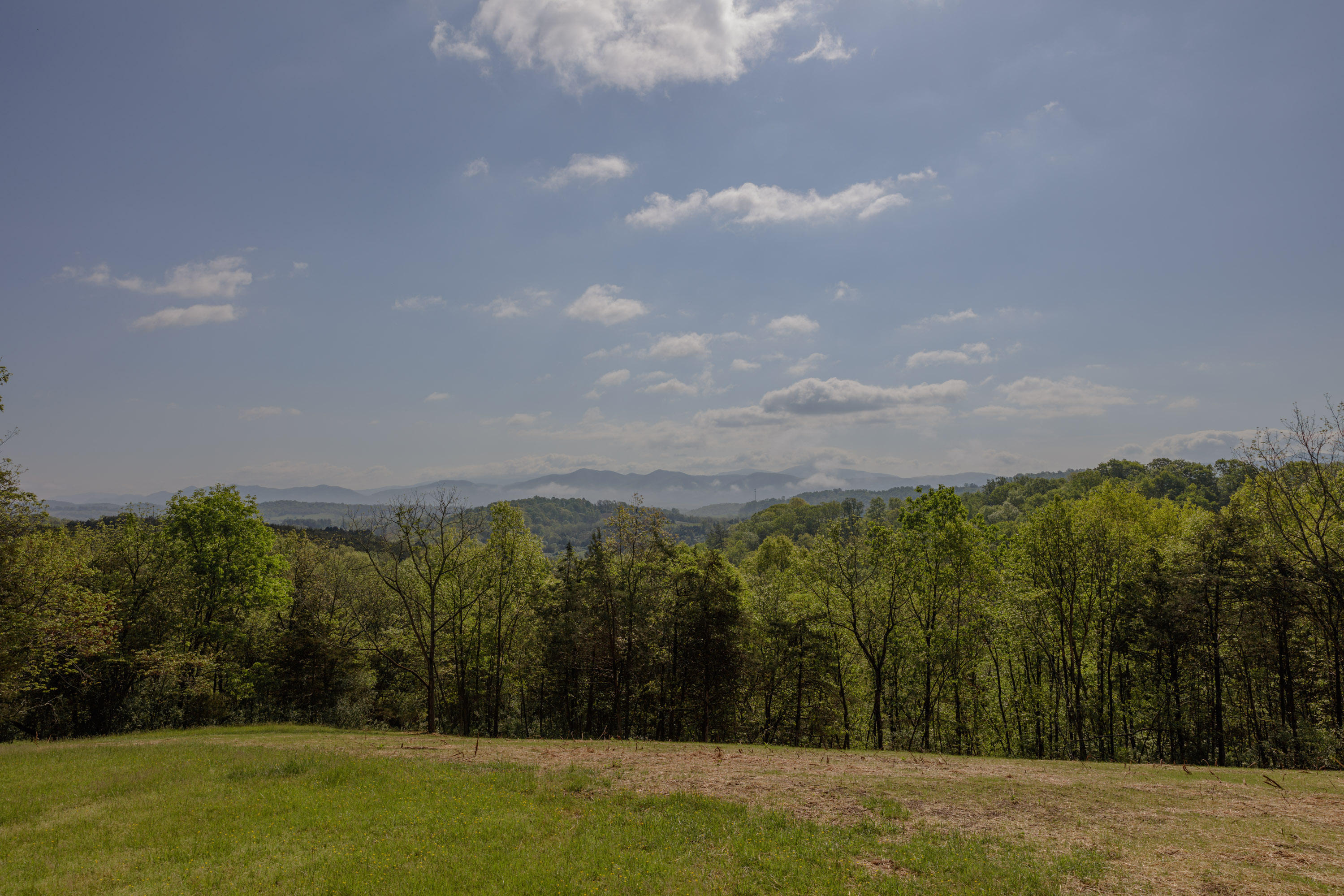 126 Autumn Ridge Lane Lexington, VA 24450 - Photo 50 of 55 View 2