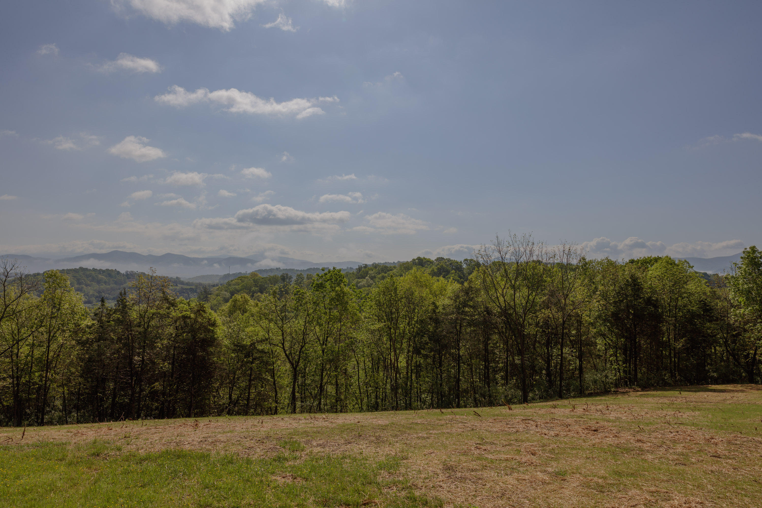 126 Autumn Ridge Lane Lexington, VA 24450 - Photo 51 of 55 View 3