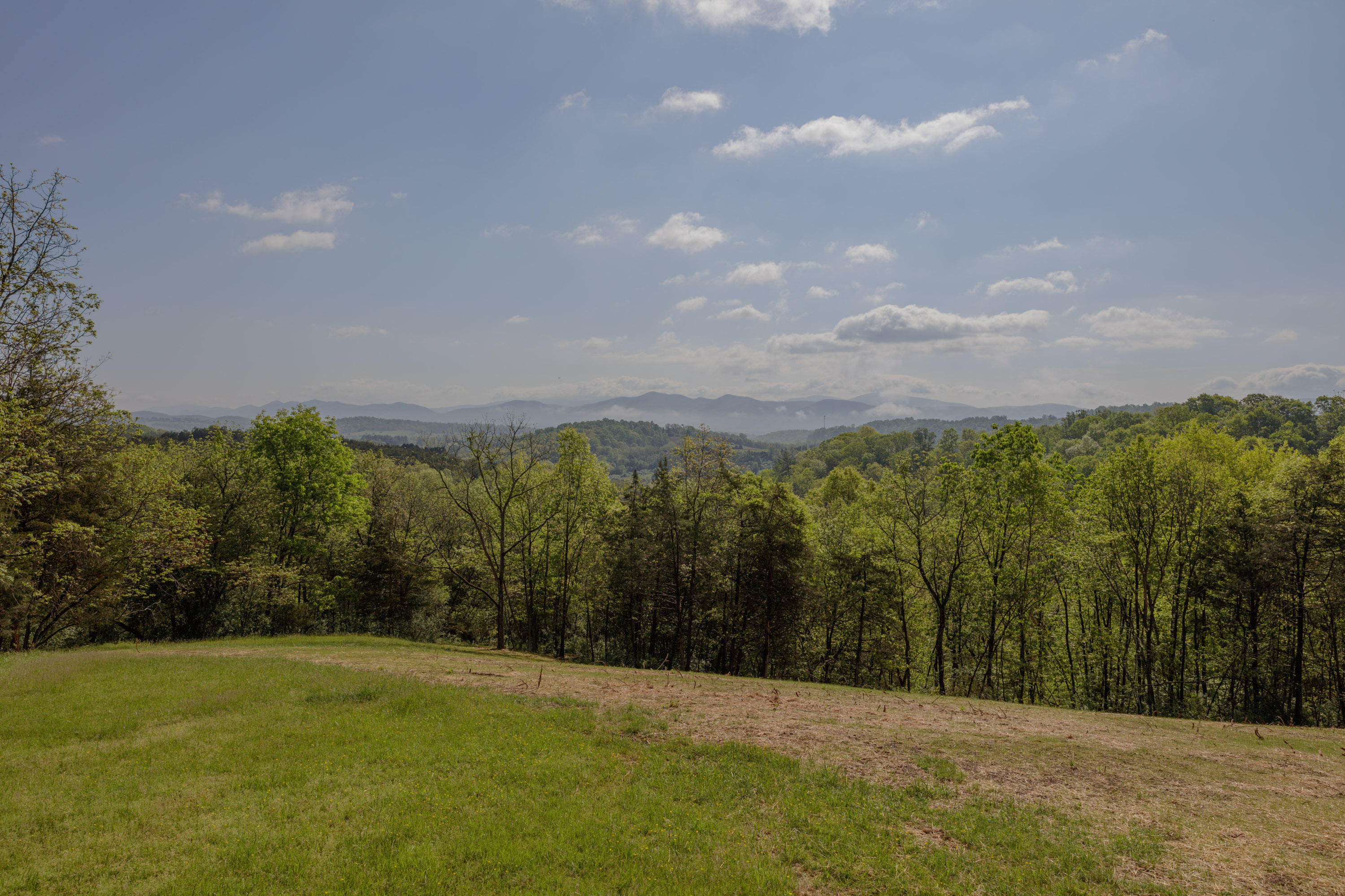 126 Autumn Ridge Lane Lexington, VA 24450 - Photo 53 of 55 View 5