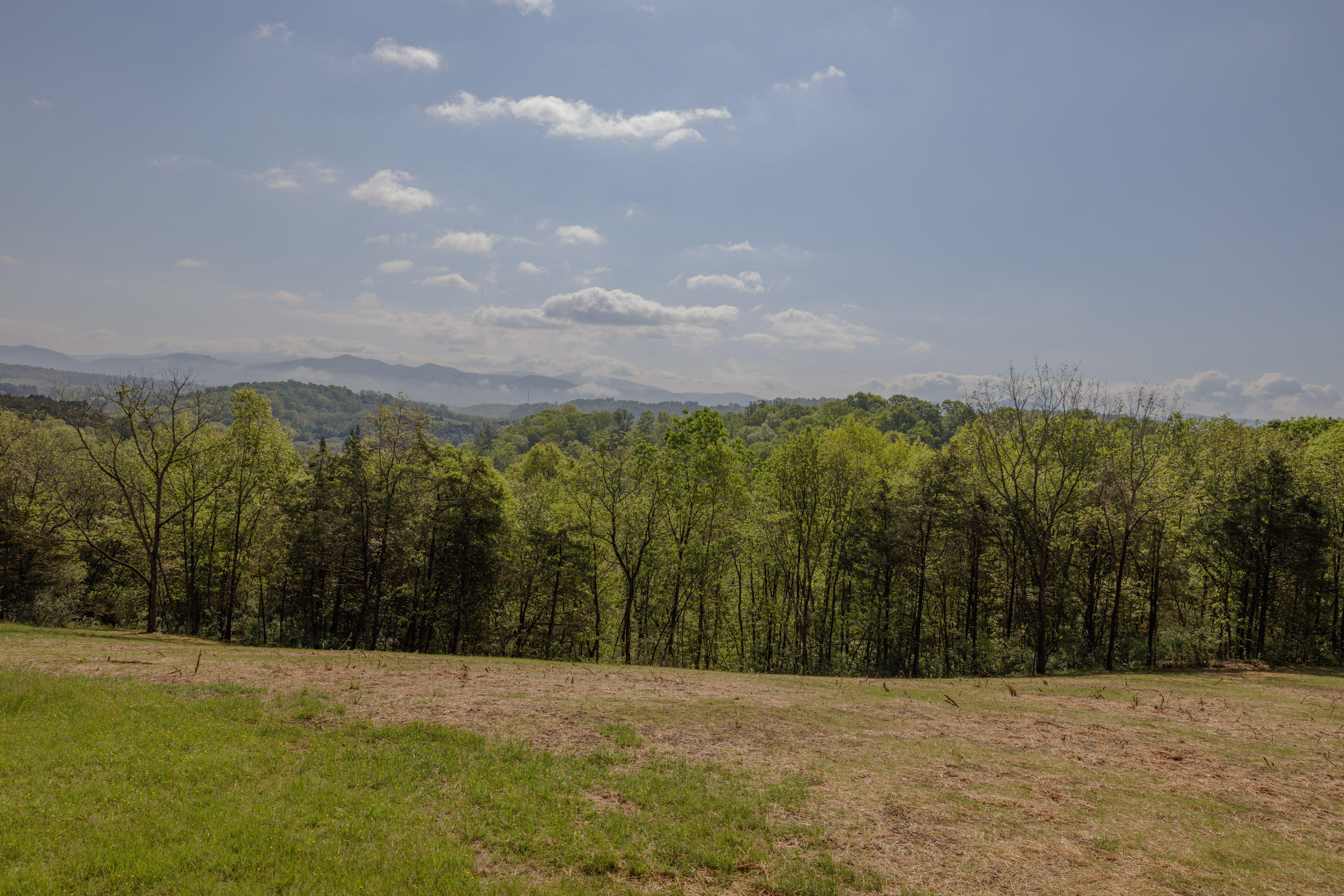 126 Autumn Ridge Lane Lexington, VA 24450 - Photo 54 of 55 View 6
