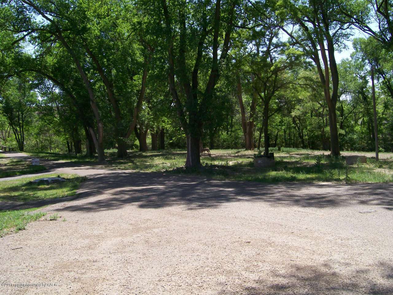 0 Chaparral Road Canyon, TX 79015 - Photo 19 of 19 0 Chaparral 025