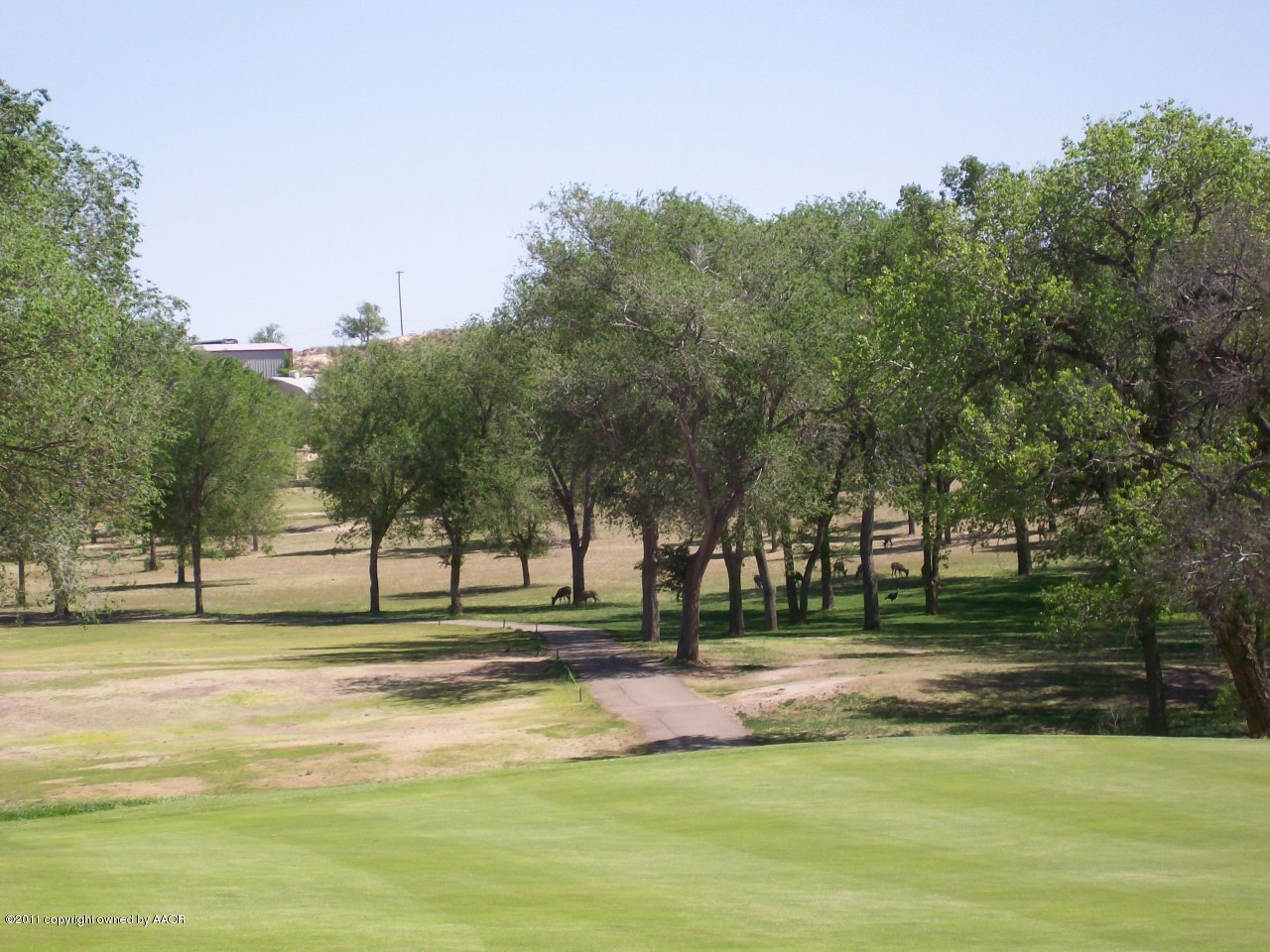 0 Chaparral Road Canyon, TX 79015 - Photo 8 of 19 #6 Green