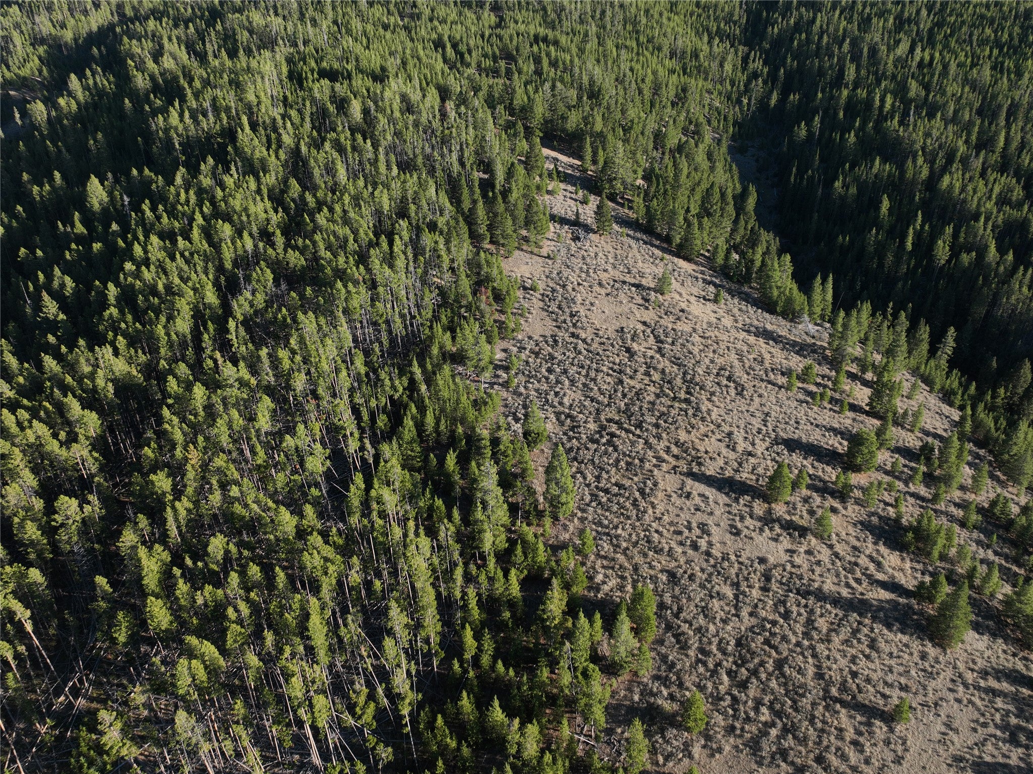 Lot 2 Ruby Mine Road Butte, MT 59701 - Photo 18 of 22 Gallery Image 18