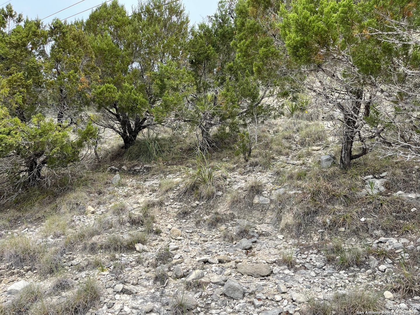 Lots 1-3 5-20 Georges Road Lakehills, TX 78063 - Photo 11 of 17 a view of a dry yard with trees all around