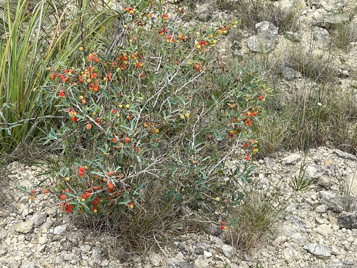 Lots 1-3 5-20 Georges Road Lakehills, TX 78063 - Photo 17 of 17