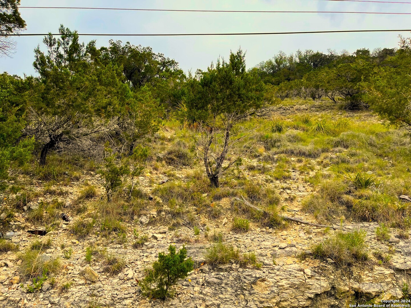 Lots 1-3 5-20 Georges Road Lakehills, TX 78063 - Photo 5 of 17 a view of a yard