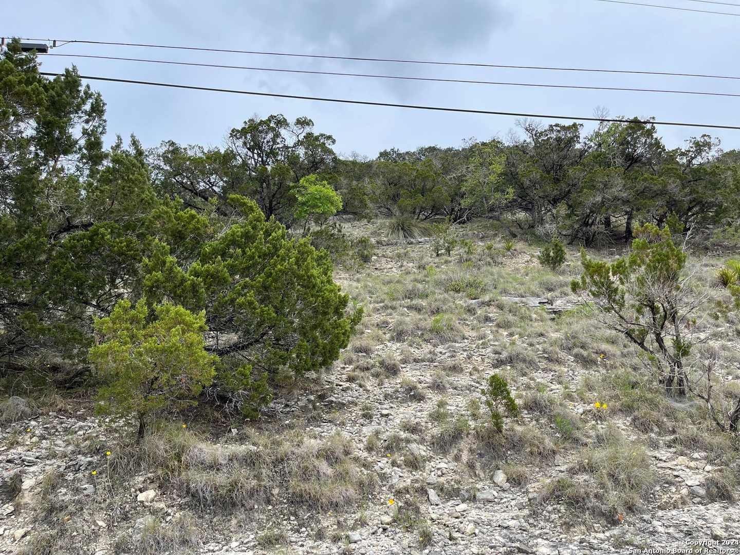 Lots 1-3 5-20 Georges Road Lakehills, TX 78063 - Photo 8 of 17 a view of a yard with wooden fence