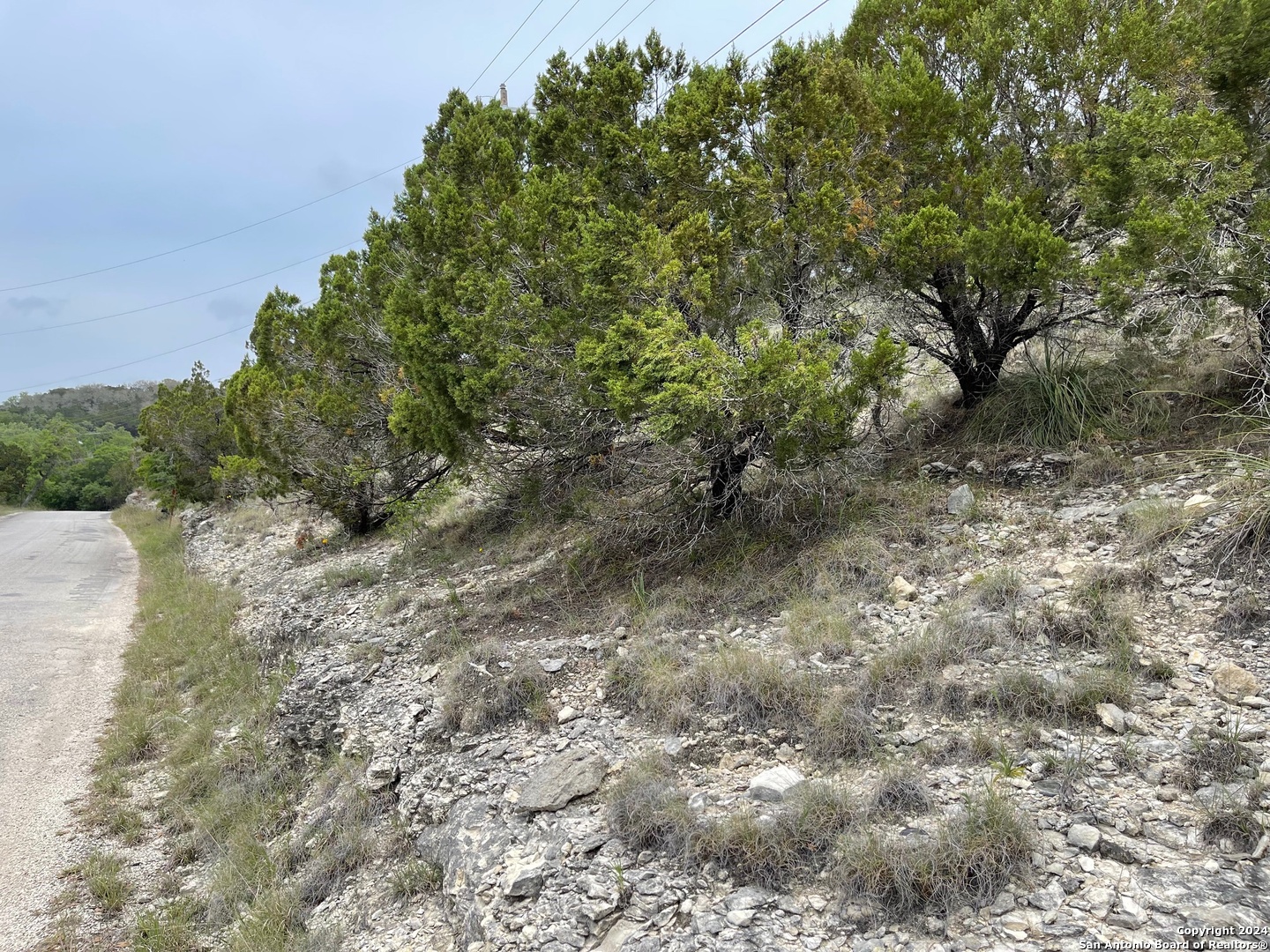 Lots 1-3 5-20 Georges Road Lakehills, TX 78063 - Photo 10 of 17 a view of a yard with a tree