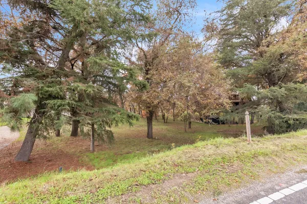 a view of yard with trees