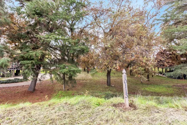 a backyard of a house with lots of green space