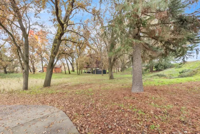 a view of outdoor space with trees