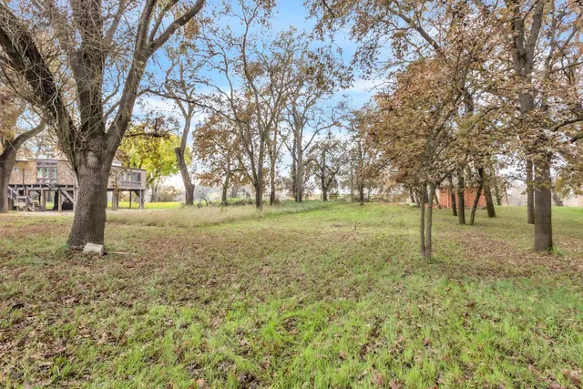 a view of park with trees