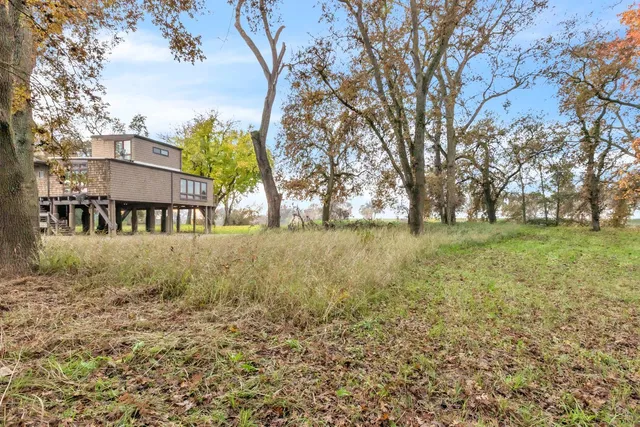 a view of a garden with trees