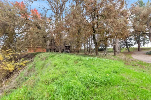a view of garden