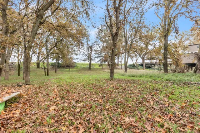 a view of a yard with a tree