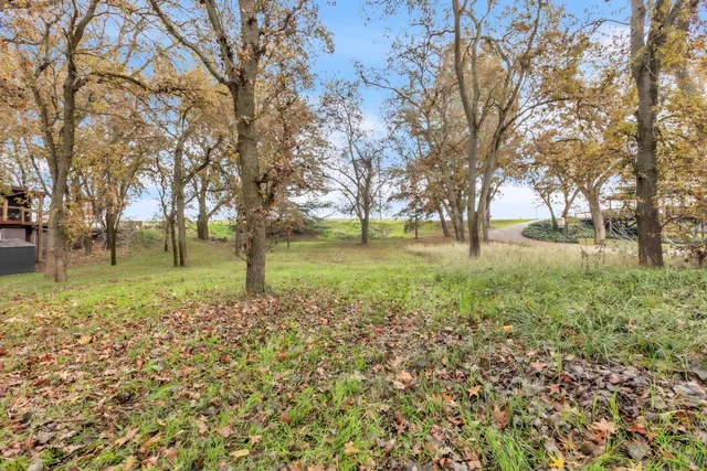 a view of a garden with trees