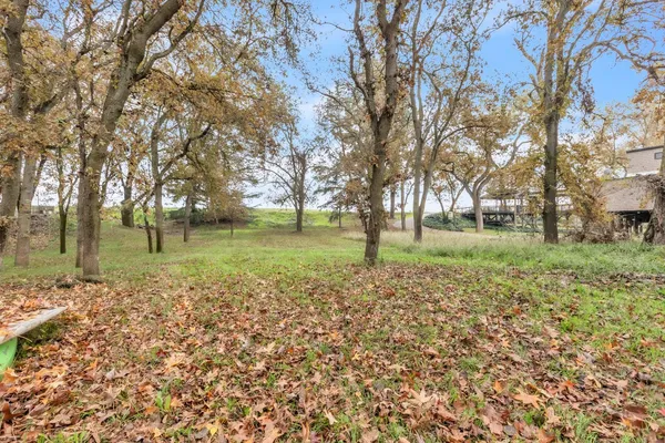 a view of a yard with a tree