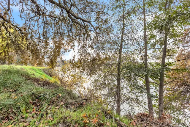 a backyard of a house with lots of green space