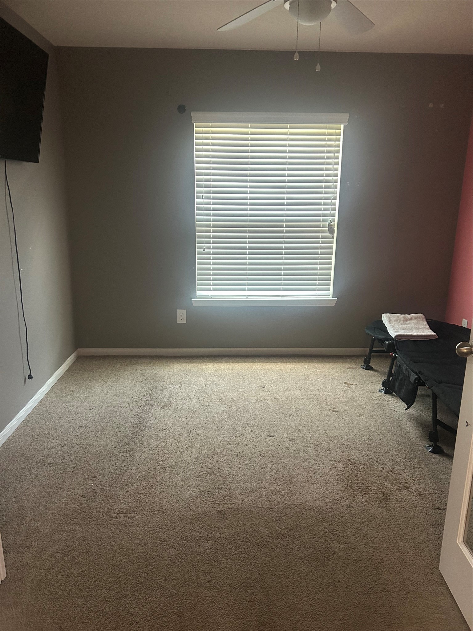 8407 Broadleaf Avenue Baytown, TX 77521 - Photo 21 of 24 Secondary Bedroom 2