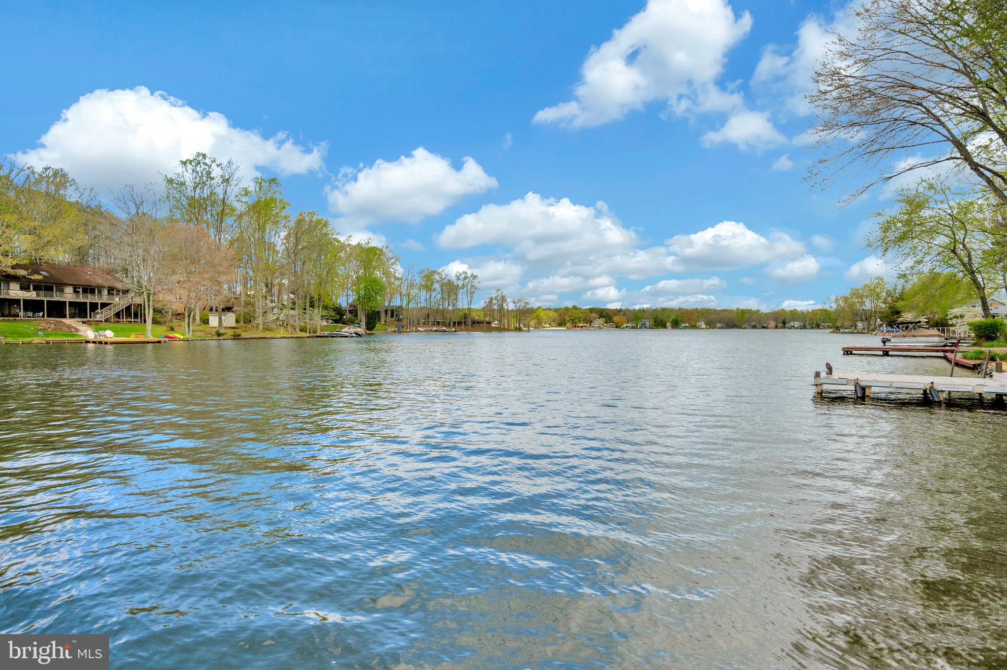 103 Pleasant Grove Road Locust Grove, VA 22508 - Photo 3 of 42 Gorgeous views of the main lake