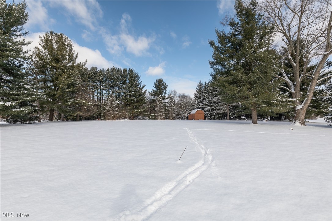 12310 Bean Road Chardon, OH 44024 - Photo 21 of 24