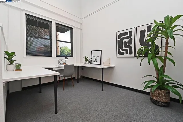 a living room with furniture plant and a window